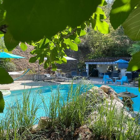 Domaine Double D Villa Cagnes-sur-Mer Exteriör bild
